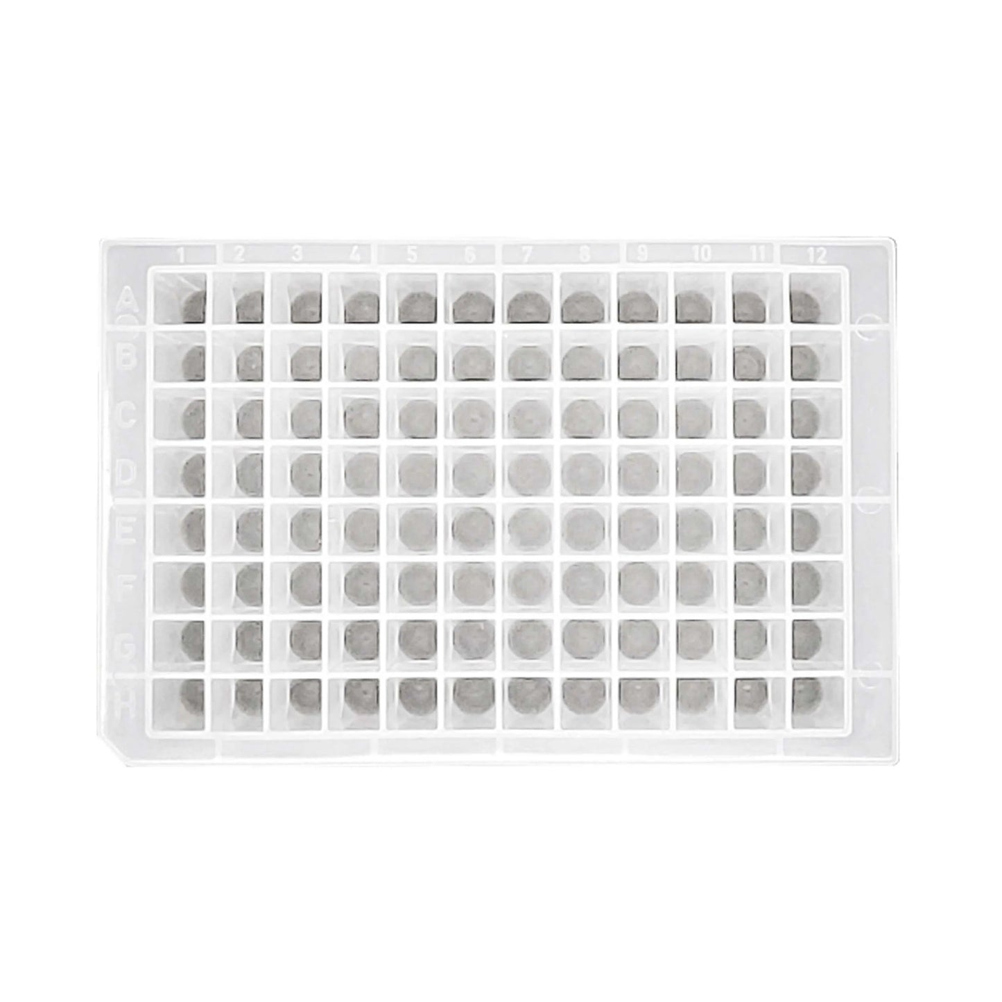 1o1ml-Deep-Well-Plate-96-PCR-Plate-3.jpg