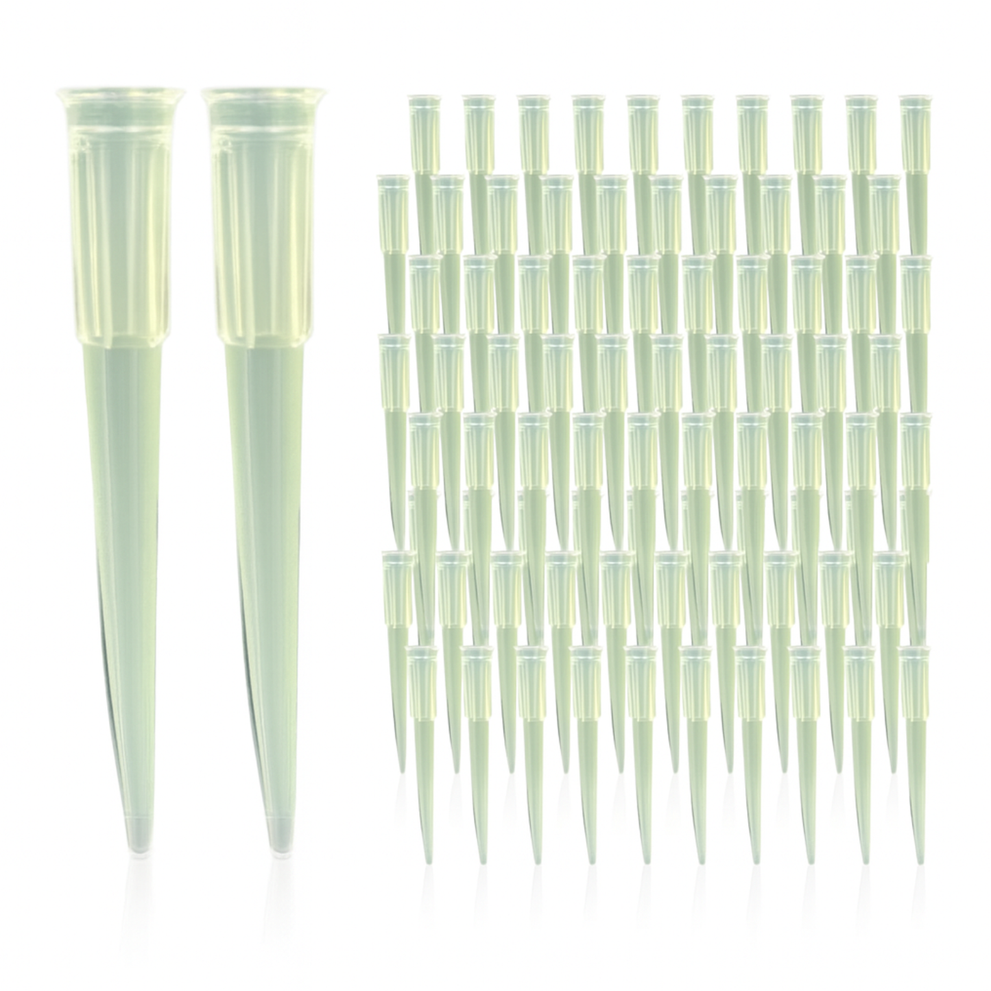 200 µL Pipette Tip Sterile, 30133