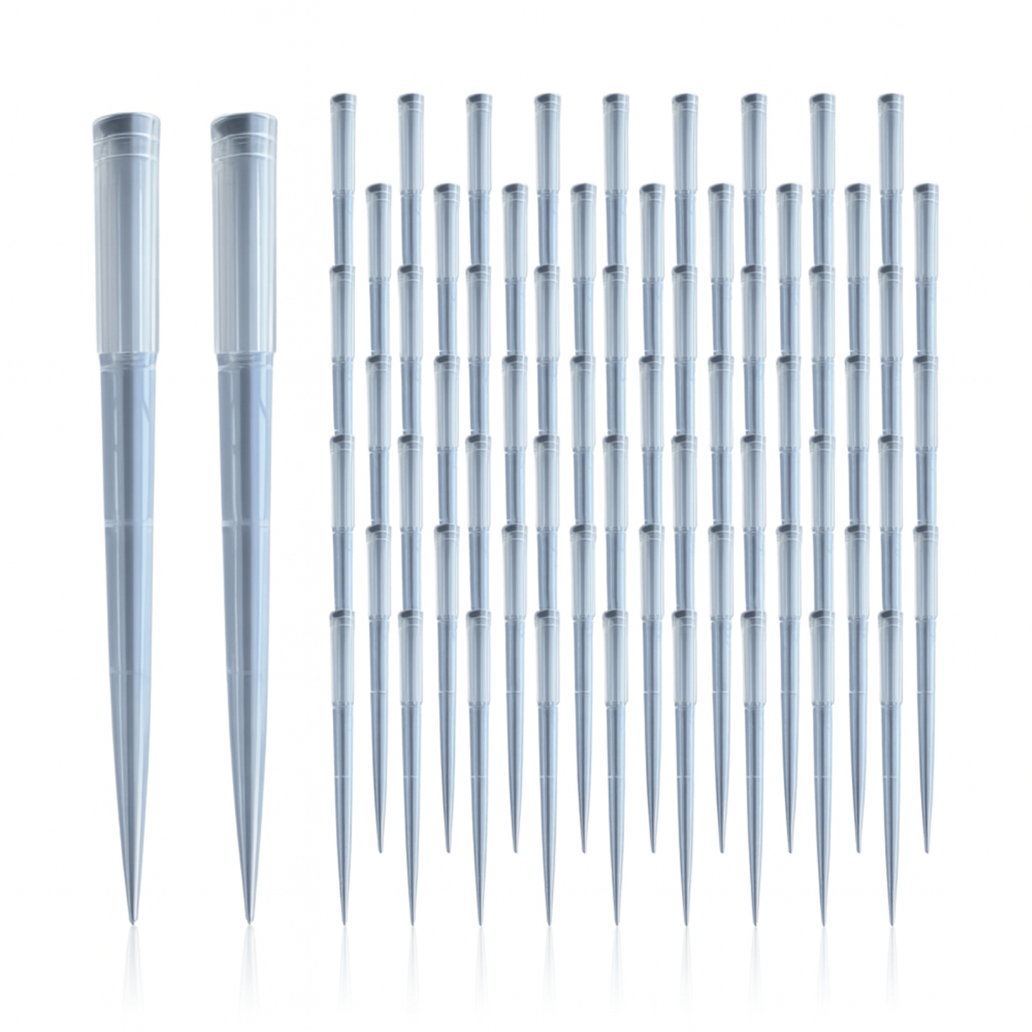 1250 µL Pipette Tip Sterile, 30134